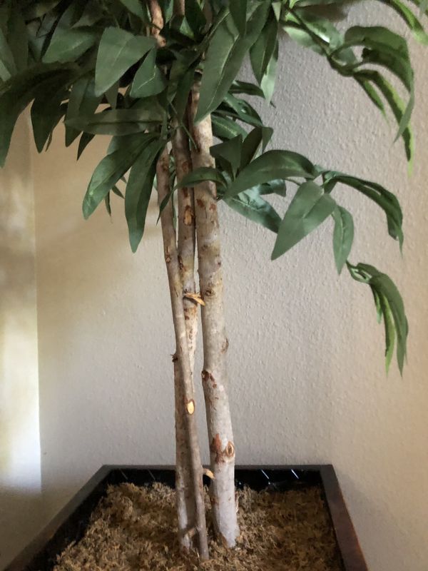 Tall fake plant for Sale in Chula Vista, CA - OfferUp