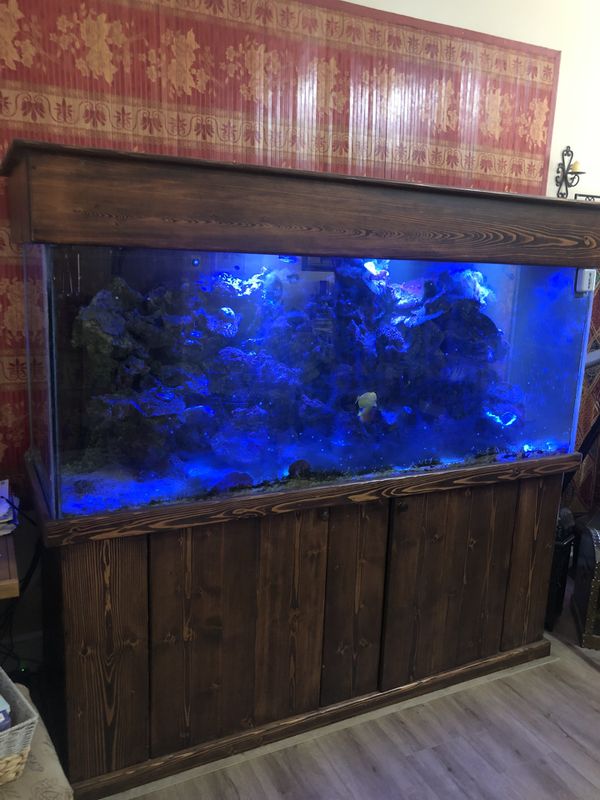 Fish tank for sale for Sale in Miami, FL OfferUp
