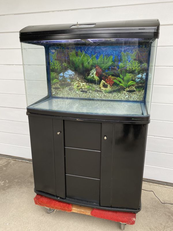 Bowfront / Round corners 55 gallon fish tank aquarium with stand and