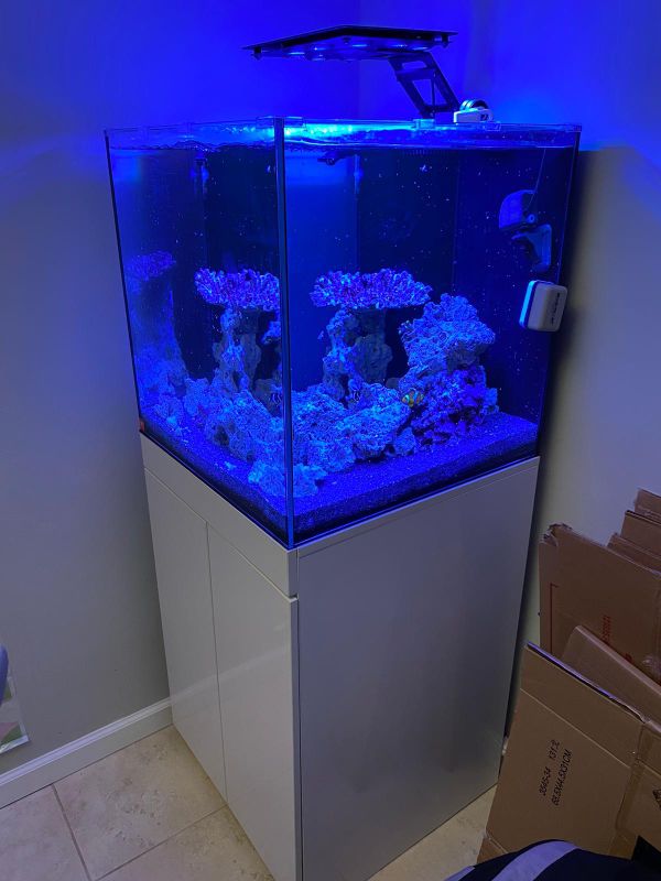 Fish tank 60 gallons true cube for Sale in Fort Lauderdale, FL OfferUp