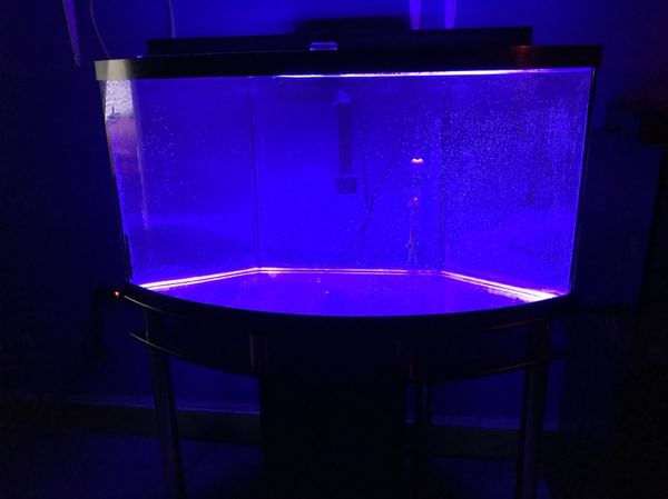 70 gallon Marineland Corner Bow Front Aquarium fish tank complete $400 ...