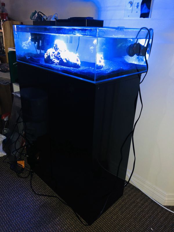 10 gallon shallow/lagoon/frag tank style aquarium with stand for Sale ...