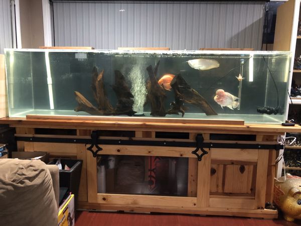 240 Gallon Custom Aquarium For Sale **OBO** for Sale in Long Beach, CA ...