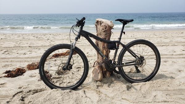 2019 REI COOP DRT 1.1 Mountain Bike for Sale in Irvine, CA - OfferUp