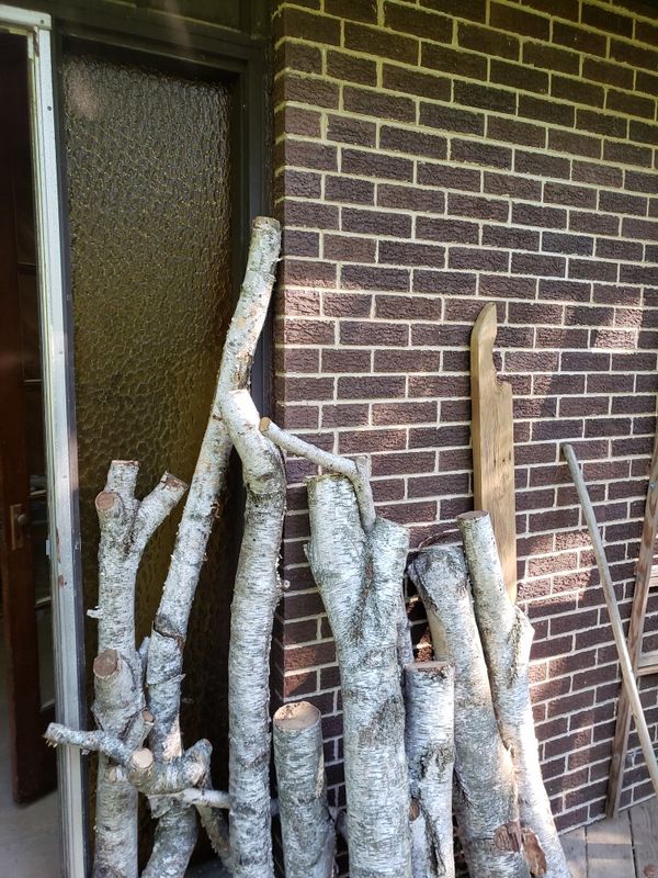 White birch tree branches large extra long for Sale in Orland Park, IL