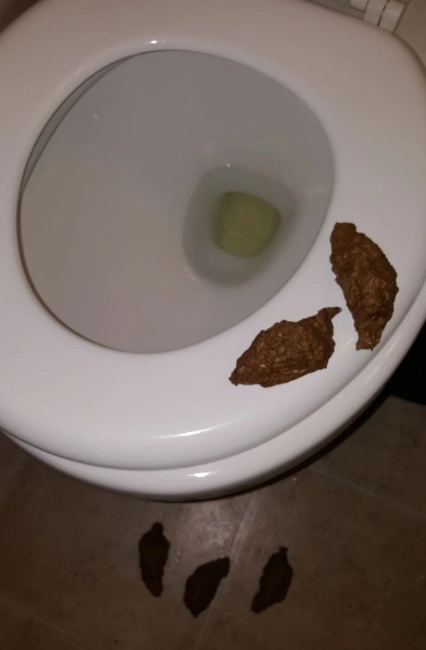 Like Real Poop for Sale in Los Angeles, CA OfferUp