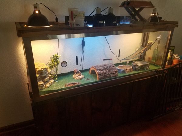 120 Gallon Bearded Dragon Tank For Sale In Graham, WA - OfferUp