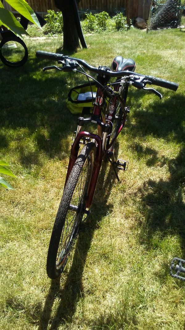 schwinn dsb dual sport