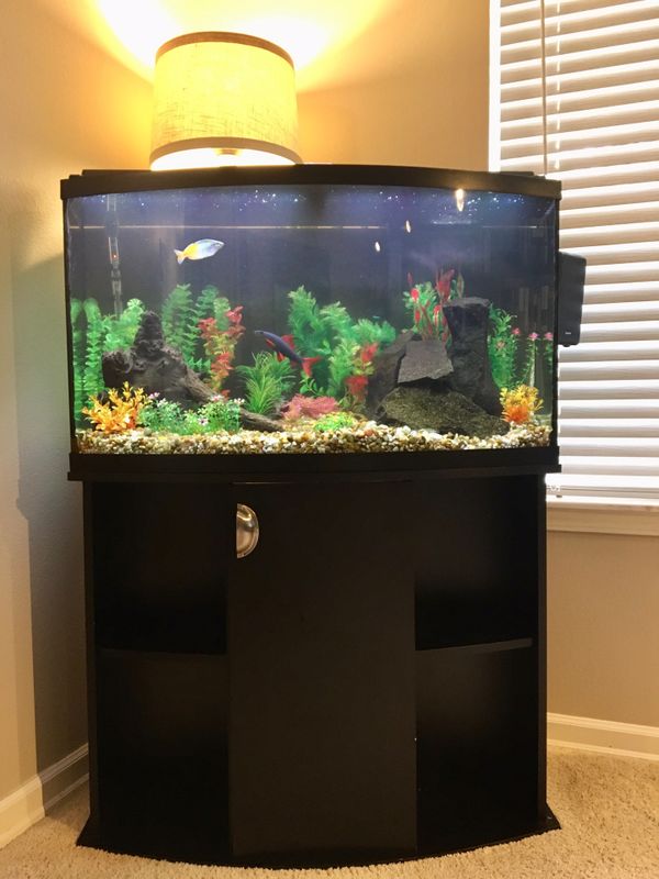 55 Gal. Bow Front Aquarium for Sale in Olympia, WA - OfferUp