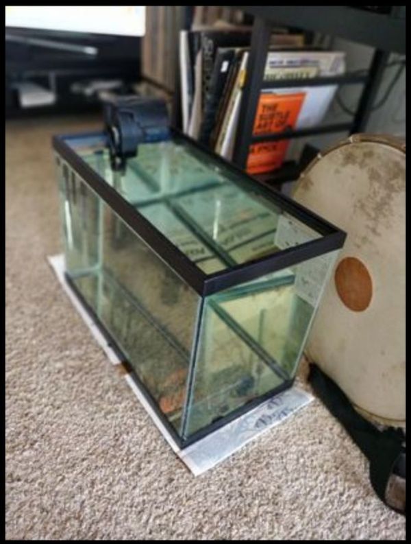 10 Best Fish Tank Heaters for Your 20 Gallon Aquarium The Ultimate