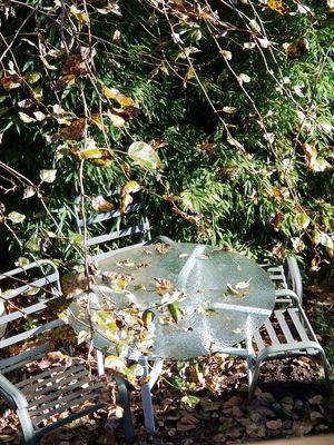 New and Used Patio furniture for Sale - OfferUp