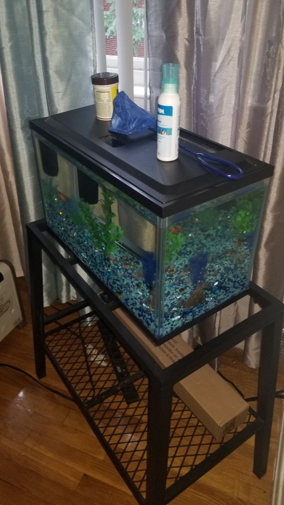 10 gallon fish tank stands