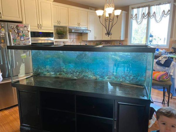 125 GALLON Fish tank for Sale in PA, US - OfferUp