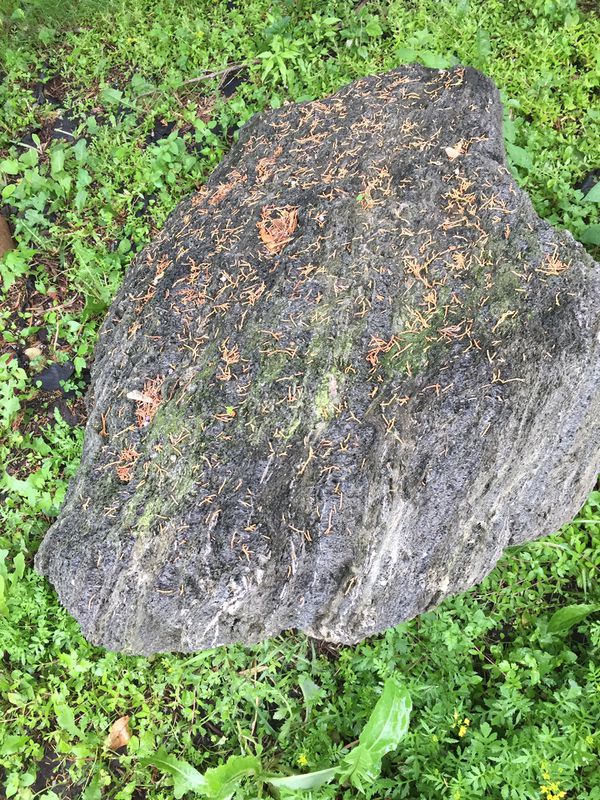 Large Black Lava Rock Landscapes Boulders for Sale in Schaumburg, IL ...
