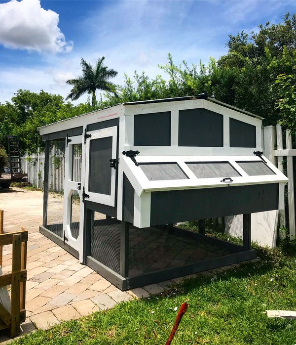 Custom Built Chicken Coops for Sale in Coral Springs, FL - 42a1906cb06246118Dc3419D73e16fDb