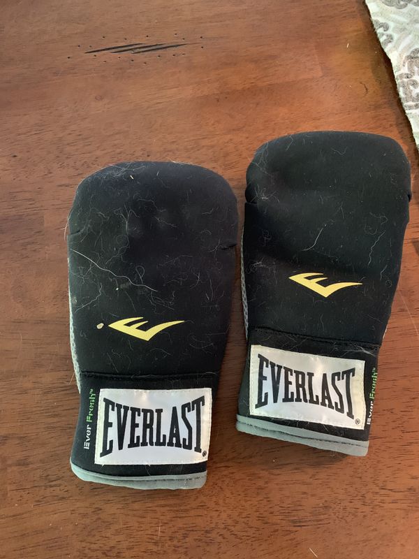 Everlast Boxing Heavy Punch Bag Stand Ireland Paul Smith