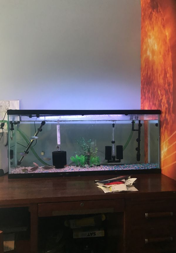 500 gallon fish tank wanted. for Sale in Lake Wales, FL - OfferUp