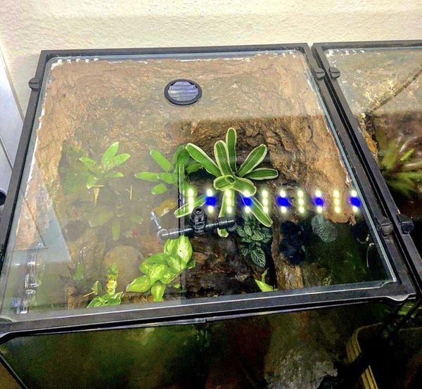 Exo Terra Glass Terrarium (18x18x24) glass and or screen cover for Sale