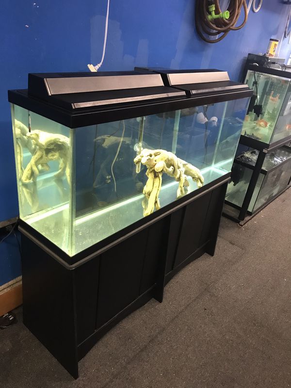 55 gallon Aquarium fish tank complete set up 300 for Sale