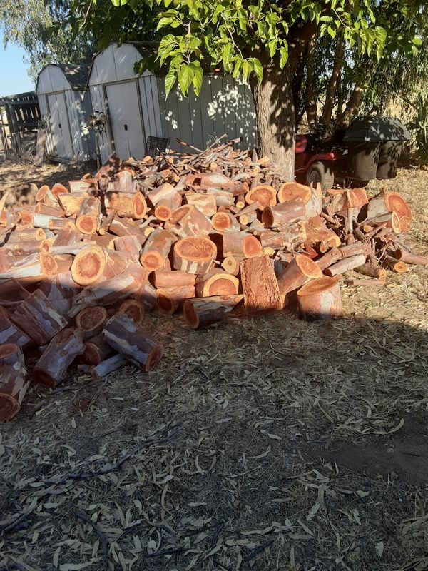 Eucalyptus fire wood for Sale in Lincoln, CA - OfferUp