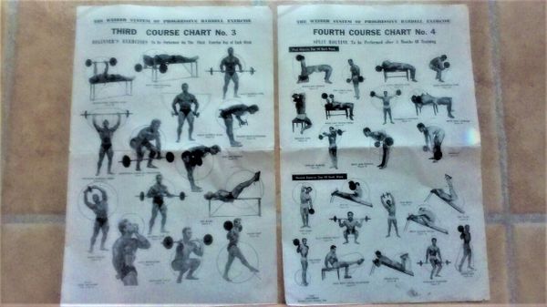 Weider Pro Exercise Chart