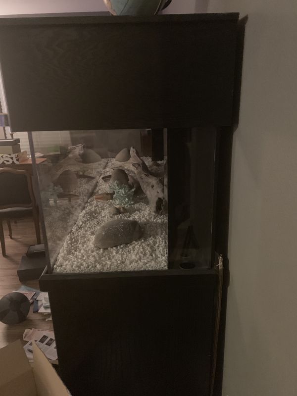 250 Gallon fish tank and base. for Sale in San Antonio, TX OfferUp
