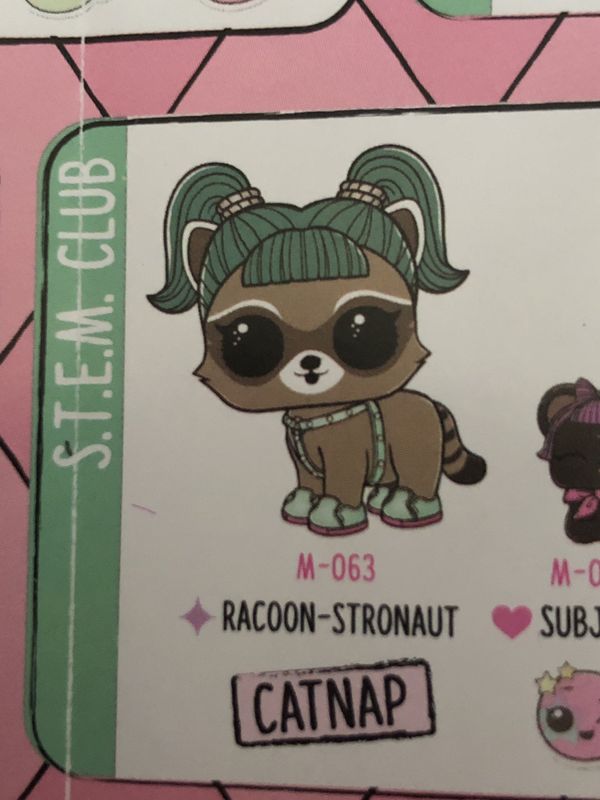 LOL Surprise Fuzzy Pets Racoonstronaut for Sale in San Diego, CA OfferUp