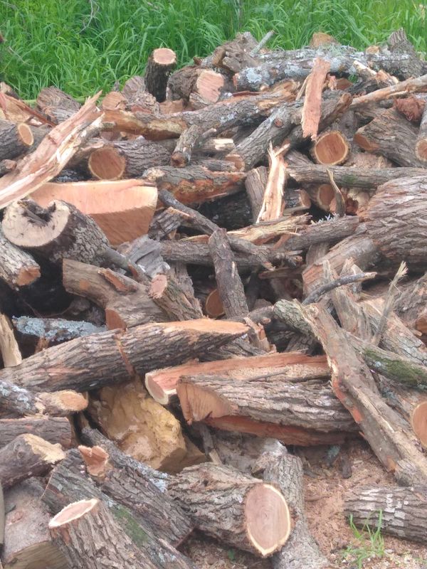 Mesquite and oak firewood delivery for Sale in San Antonio