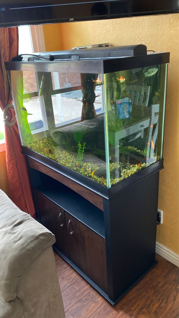 60 gallon fish tank with fluval filter, light, hood, driftwood, rocks