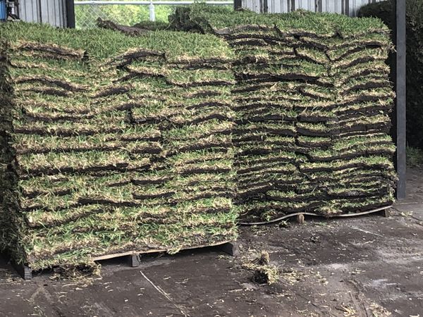 zoysia-sod-180-per-500-square-foot-pallet-for-sale-in-saint-cloud-fl