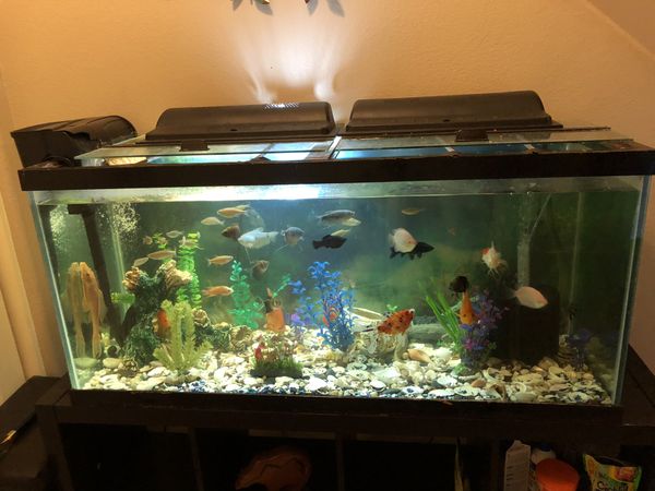 110 Gallon Fish Tank for Sale in Mesa, AZ - OfferUp