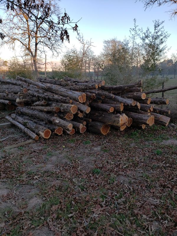Cedar fence post for Sale in Tomball, TX OfferUp