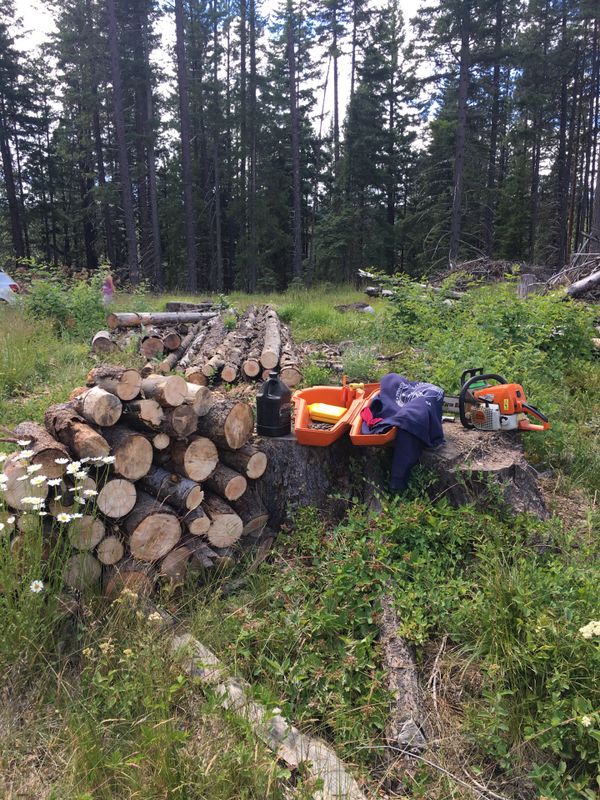 Firewood ; Seasoned ponderosa pine and fir for Sale in Cle Elum, WA