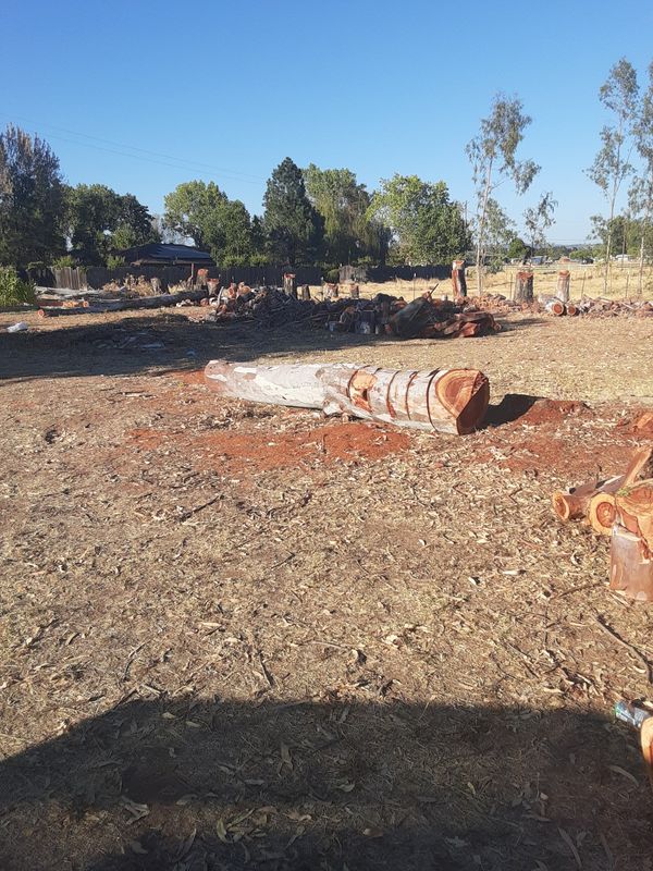 Eucalyptus fire wood for Sale in Lincoln, CA - OfferUp