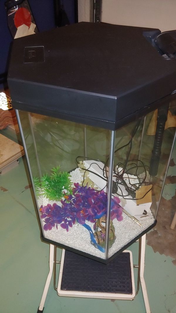 Like new 20 gallon Hexagon aquarium for Sale in Naples, FL OfferUp
