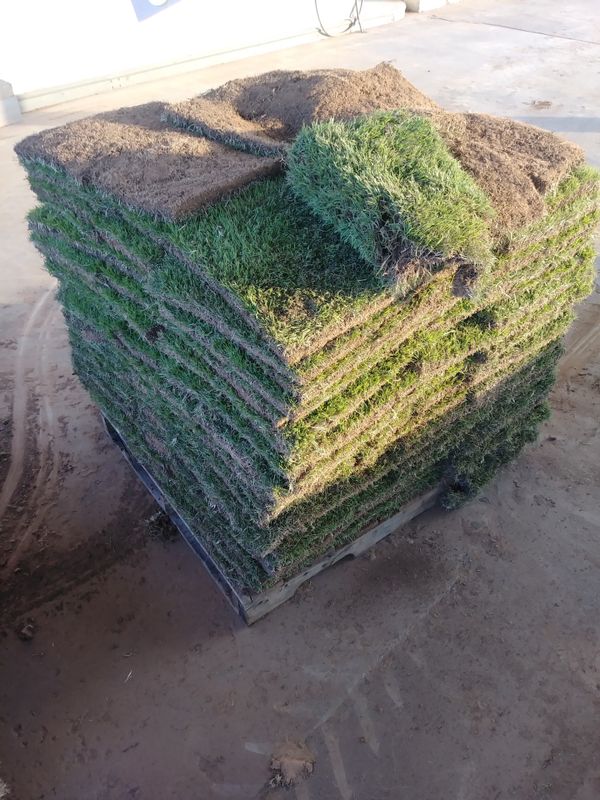 400 SqFt Zoysia Sod Pallets for Sale in Broken Arrow, OK OfferUp