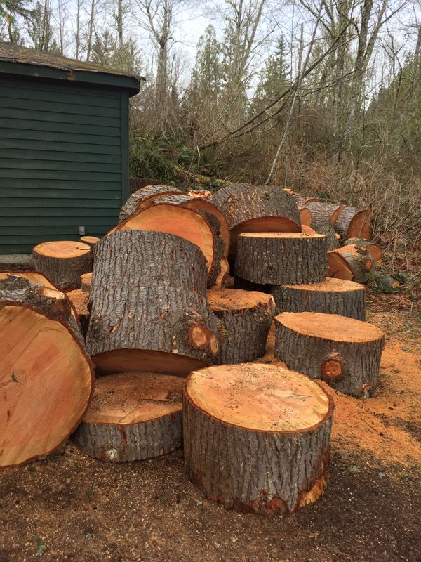 Douglas Fir firewood for Sale in Snohomish, WA OfferUp