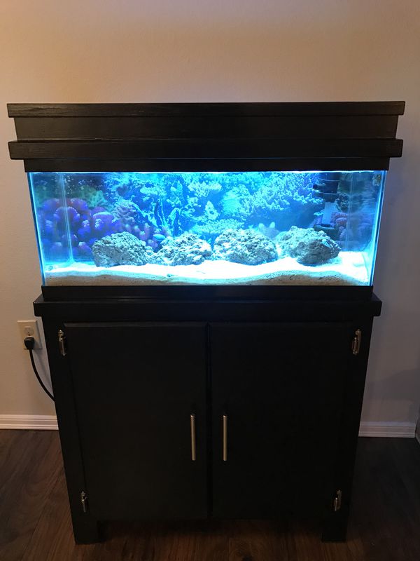 fish tank with cool stand modern