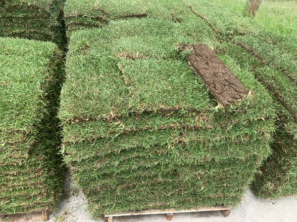 Pallet of grass for Sale in San Antonio, TX - OfferUp