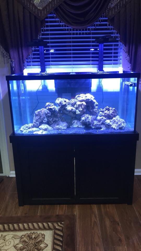 Drilled 90 gallon fish tank + stand + overflow box for Sale in