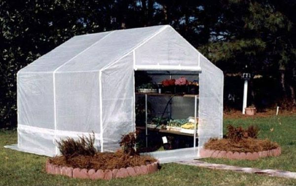 King Canopy 10' x 10' Greenhouse replacement cover for Sale in Virginia Beach, VA OfferUp