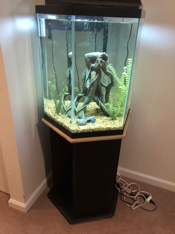35 Gallon Hexagon Freshwater Fish Tank for Sale in Palm