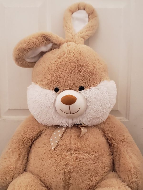 4ft teddy