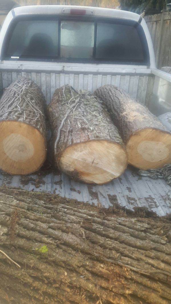 Maple logs for Sale in Edgewood, WA OfferUp