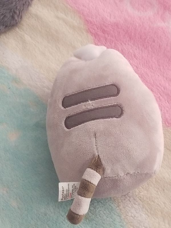 pusheen party hat