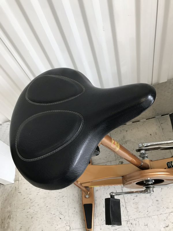 Vintage Schwinn Airdyne AD3 Upright Exercise Bike for Sale in Chicago