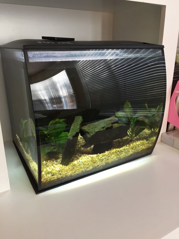 Fluval flex 15 gallon plus lot of accessories for Sale in WA