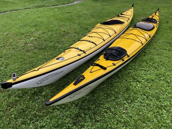 perception shadow sealion