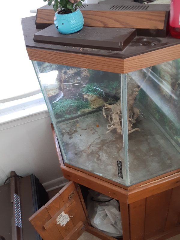 Corner fish tank 50 gallons for Sale in Bethlehem, PA OfferUp