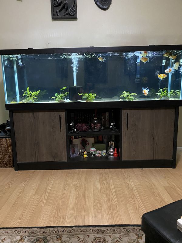 125 gallon tank aquarium and fluval fx4 filter for Sale in Mesa, AZ